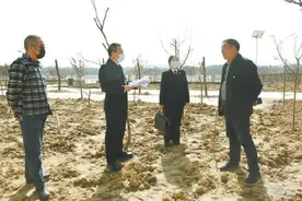 跟踪监督五年，违建生态园被依法强拆图片