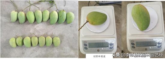 浣犵煡閬撶閽犺悩涔欓吀鍦ㄦ灉鏍戜笂鏈夊暐浣滅敤鍚楋紵