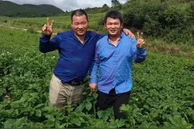 28岁云南小伙帮400农户卖土豆，50天交易额突破700万！图片