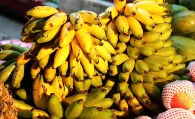 海南的水果上市时间表你知道有什么水果吗？