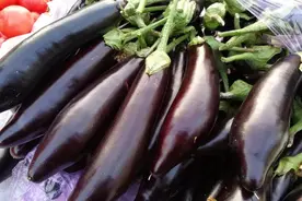 茄子好不好，看这里就知道了，牢记这4点，保证茄子又鲜又嫩图片