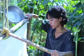 李子柒：用8种食材做桂花坚果藕粉，营养美味，看着真馋人图片