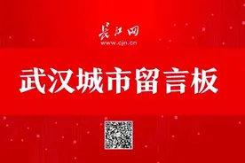 长江新区武湖片区规划有多所中小学，还有一批学校建设问题有回复了图片