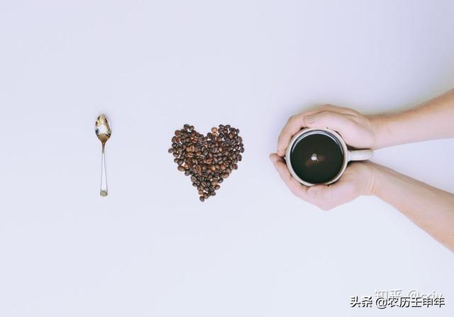 20分钟让你比99%的人更懂咖啡 （技能养成系列之一）