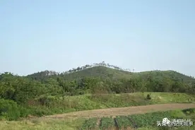 大美桐城 | ​行走北桐城图片