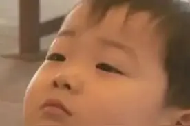 表情包：能放我一条生路吗，求求你了图片