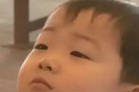 表情包：能放我一条生路吗，求求你了图片