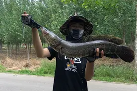 路亚钓鱼进阶指南：5种国内典型淡水路亚鱼种的钓竿选择思路图片