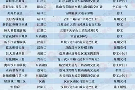 业主急疯！武汉近20个楼盘延期、停工！官方处置来了图片