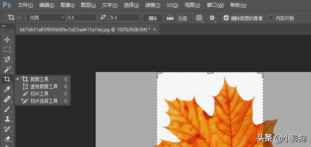 ps入门使用教程之——裁剪工具