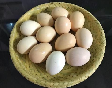 现在才知道，保存鸡蛋小妙招，放半年都不坏，省钱又实用