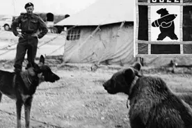 忠犬文尔内：亲眼目睹主人被杀，追寻一生，8年后与凶手同归于尽图片