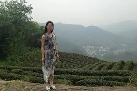 西湖边一朵玫瑰看哭很多人！杭州男子停更朋友圈3年：我的爱人，是像林黛玉一样的女子图片