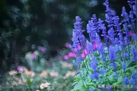 仲小萍：都说可怜天下父母心，可是天下最可怜的是母亲图片