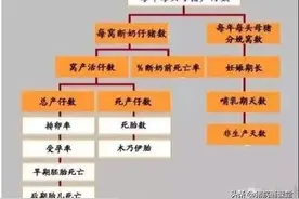 为什么母猪的产仔数少，从这9个方面找原因图片