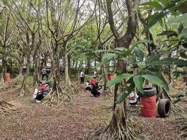 八月团建推荐|超高性价比、人均最低不到百元的团建活动