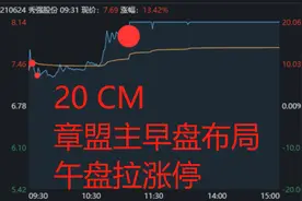 龙二：顶级游资章盟主飘了，猛攻BIPV光伏板块图片