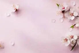 劝你，以后不必对这些人好，真的没必要图片