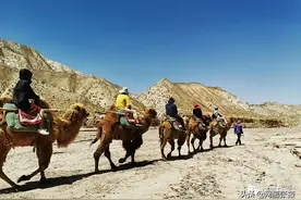 肃南体验游：骑骆驼上彩虹战车样样精彩图片