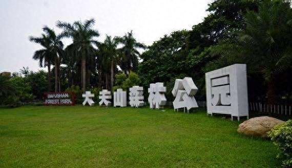 大夫山森林公园攻略(大夫山从哪个门进好玩)