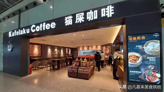 几千元一斤的猫屎咖啡是怎么来的？真是“猫拉出来的屎”？