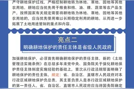 一图读懂，认识新《土地管理法实施条例》图片