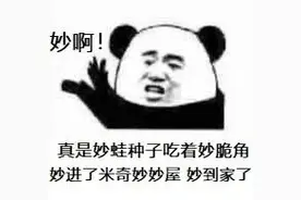 爆笑热门表情包图片
