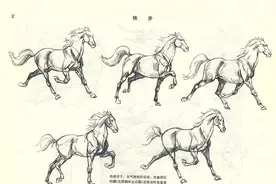 喜欢画动物的你，教你画动物，这篇一定要收藏图片