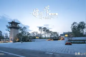 记得常回家看看——母亲节图片