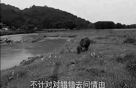 八九十年代广东电视台制作的二十部经典电视剧，你还记得多少部？