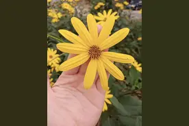 你要记住黑暗中默默抱紧你的人，逗你笑的人，彻夜陪你聊天的人图片