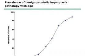 男性这个器官一生都在长大，出现3种迹象该就医了图片