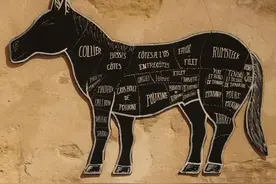 马肉也是一种肉，为什么感觉几乎没人吃？图片