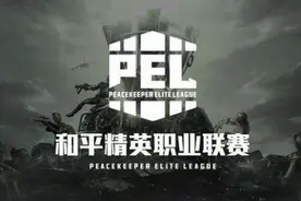 4AM和NV-XQF ——和平精英PEL职业联赛中当之无愧的双雄图片
