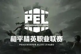 4AM和NV-XQF ——和平精英PEL职业联赛中当之无愧的双雄图片