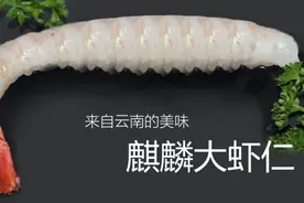 五亿年前的超长大“虾仁”，有被诱惑到图片