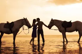 不怕红杏出墙，就怕野花进房，放到现在，哪种情况更严重？图片