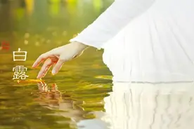 白露丨蒹葭苍苍，白露为霜。所谓伊人，在水一方图片