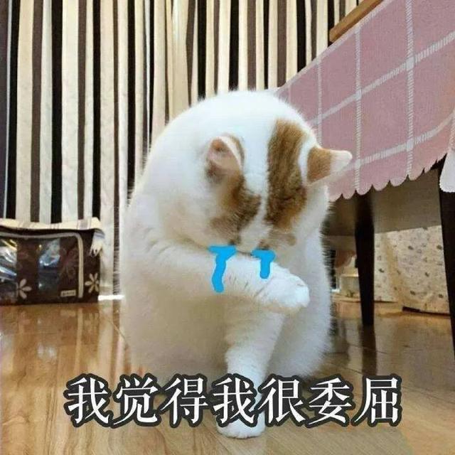 “即使爸爸再忙，也会抽空看美女。”看了娃造的句我笑到打鸣