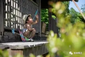 记忆中的夏天，一切都是温柔惬意的样子图片