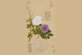 百家姓中的“花”姓是如何演化来的？图片