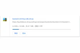 Linux下载软件很慢，用idm处理，再共享就可以了图片