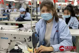 BBC报道“中国被玷污的棉花”？图片
