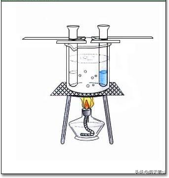 因疫情不能去学校，在家学习生物选修一知识点