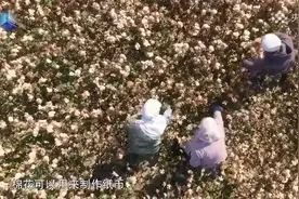 人民币竟然是棉花造的！从"白纸"到钞票，制造过程全在这图片