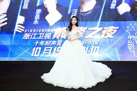 “好声音”十年 不断破解综N代难题的十年图片