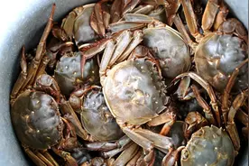 一年狂销3000万，这对“同名同姓”的发财夫妻靠20元起家图片