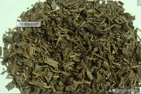 这四种东西喂鸡，鸡病少，长的好图片