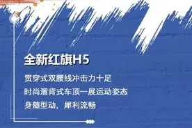 全新红旗H5图片