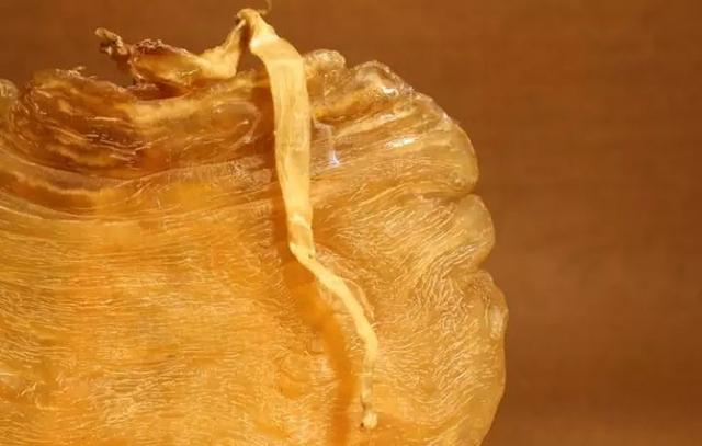 鱼鳔胶的功效和作用 2026年鱼鳔胶的功效和作用及禁忌